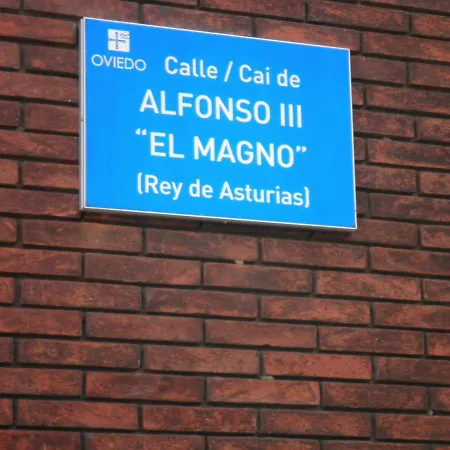 Calle Alfonso Iii El Magno, 22